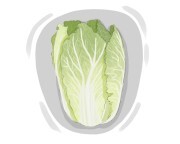 iceberg lettuce