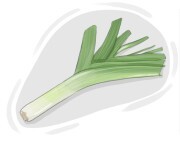leek