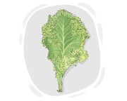 kale