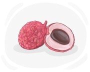 litchi
