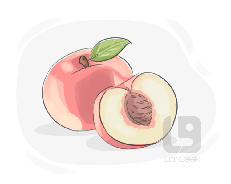 peachy-coloured definition and meaning