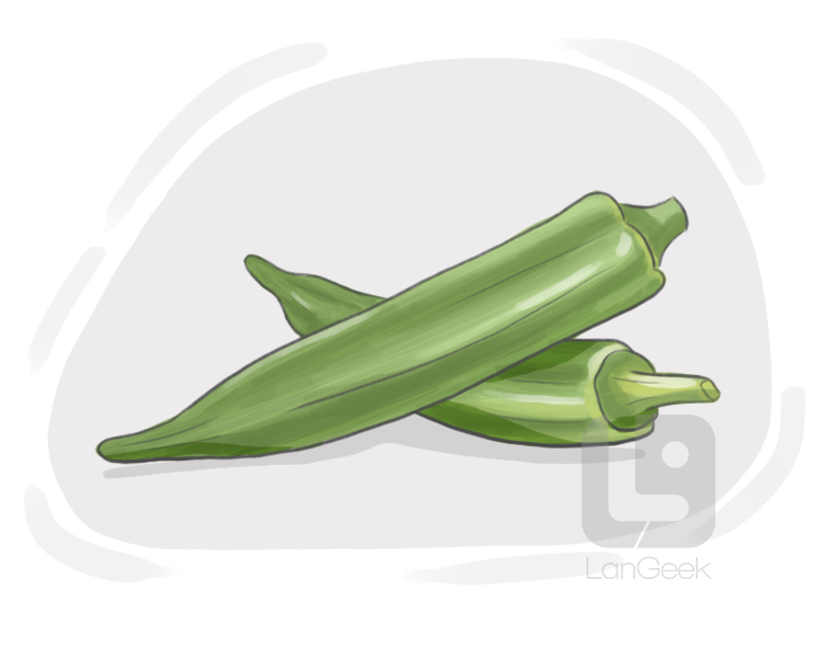 okra definition and meaning