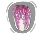 radicchio