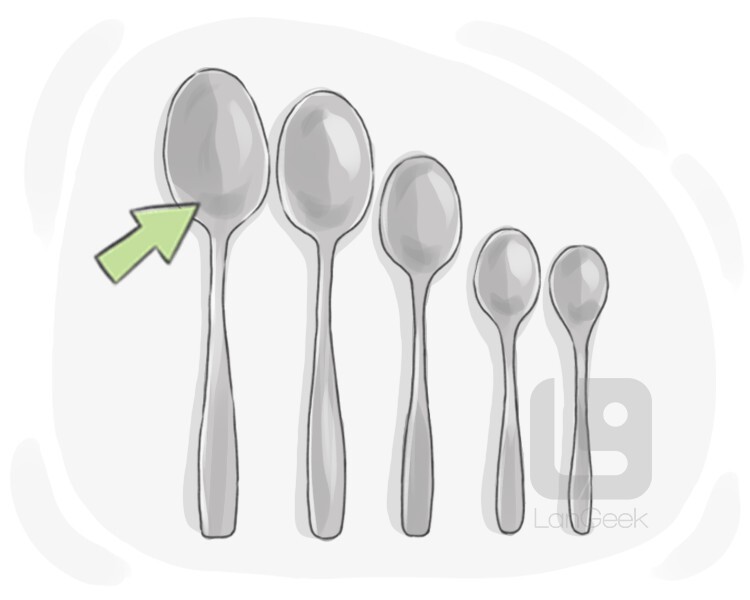 Types of Spoons