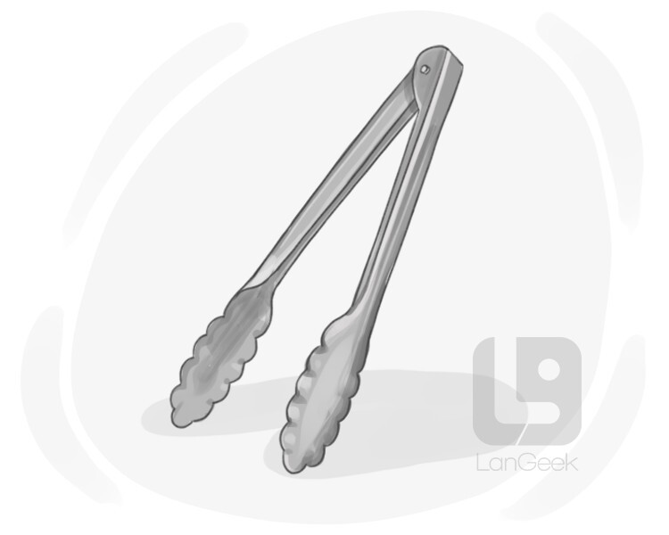 Definition & Meaning of "Pair of tongs" LanGeek