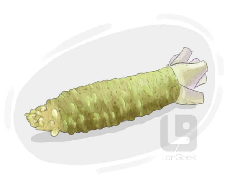 Definition & Meaning of "Wasabi" LanGeek