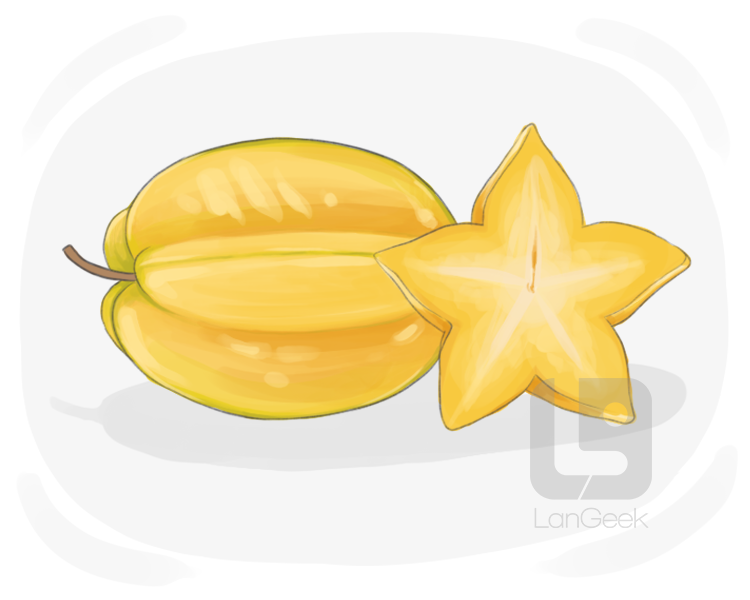carambola definition and meaning