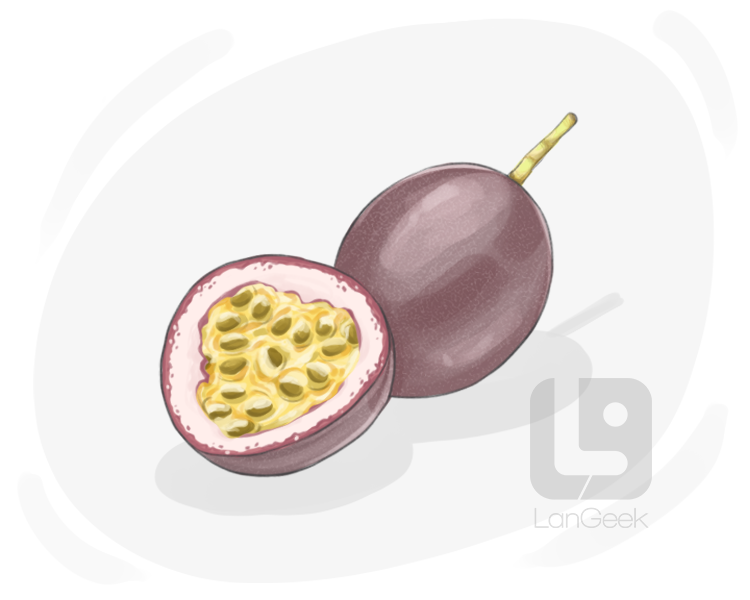 passion fruit definition and meaning