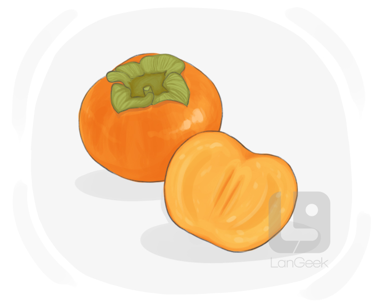 persimmon definition and meaning