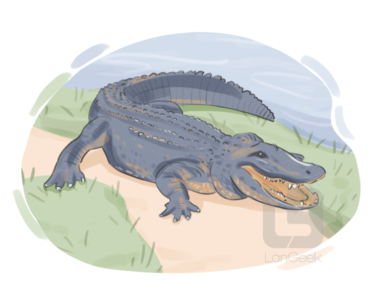 caiman definition and meaning