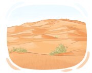 desert
