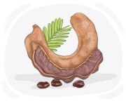 tamarind
