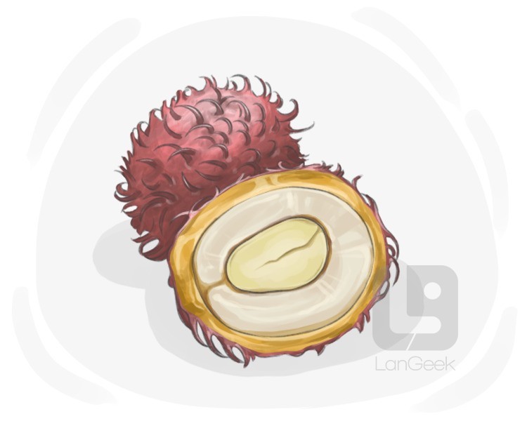 rambutan definition and meaning