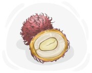 rambutan