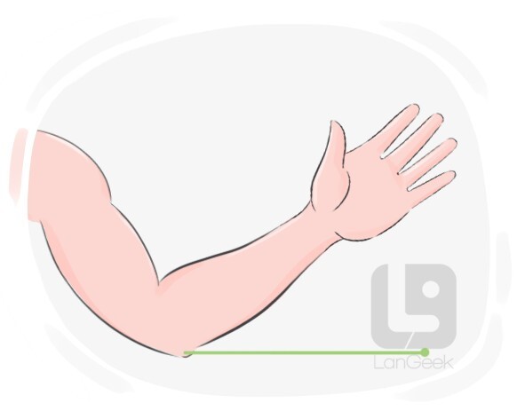 elbow clipart