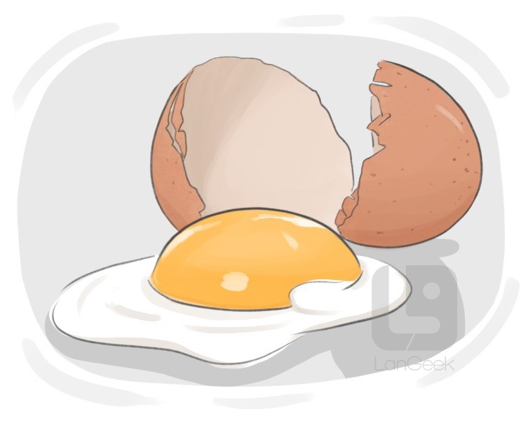 eggs definition and meaning