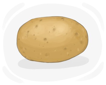potato