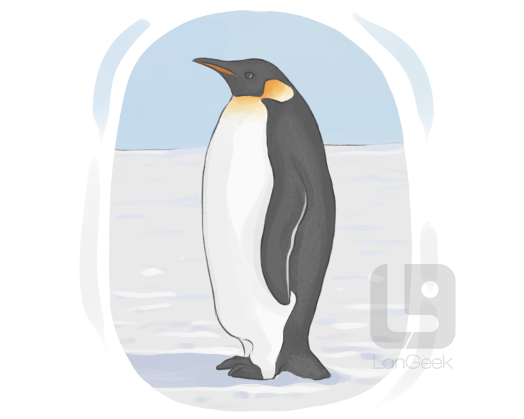 emperor penguin definition and meaning