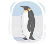 emperor penguin