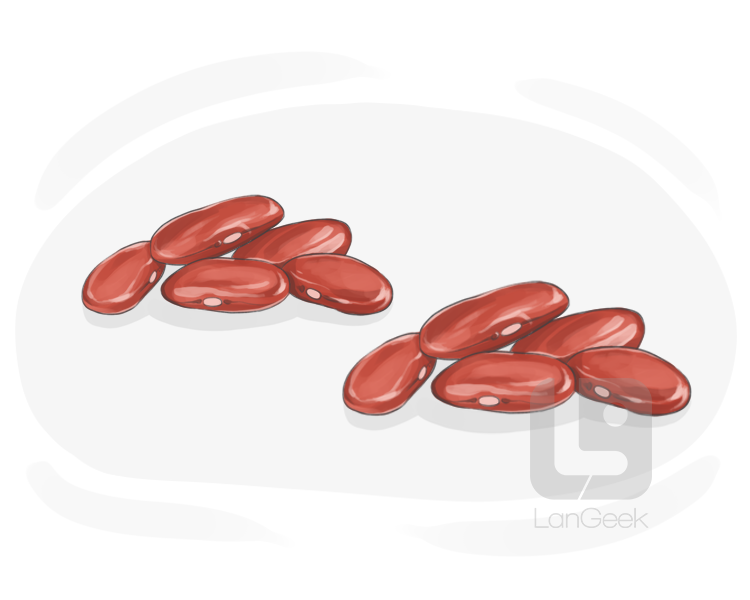 kidney bean definition and meaning