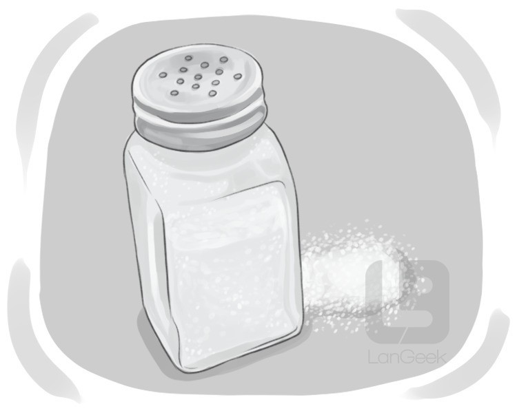 table salt definition and meaning