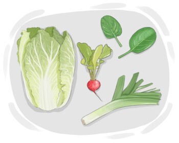 vegetable
