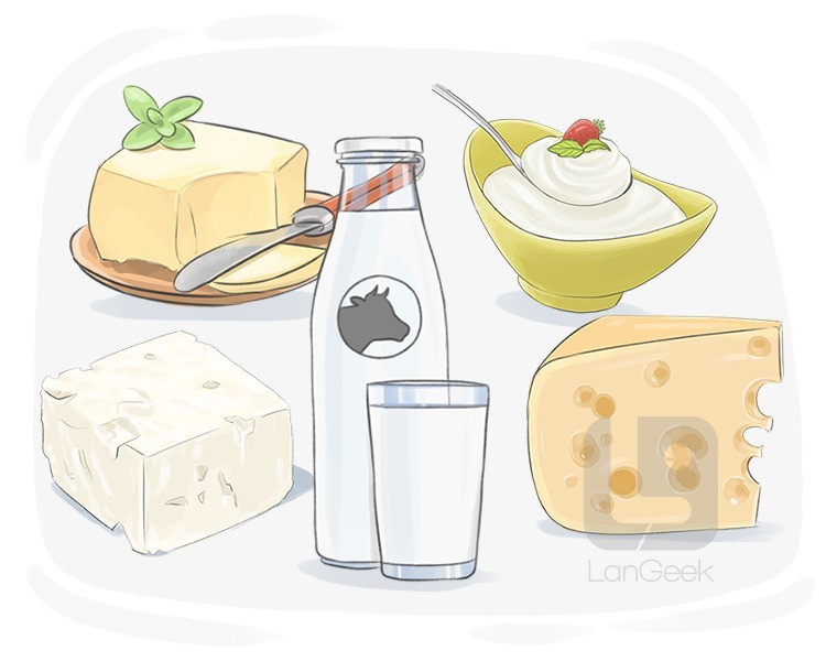 dairy product definition and meaning