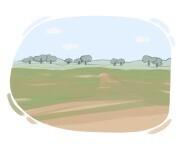 plain