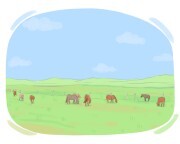 pasture