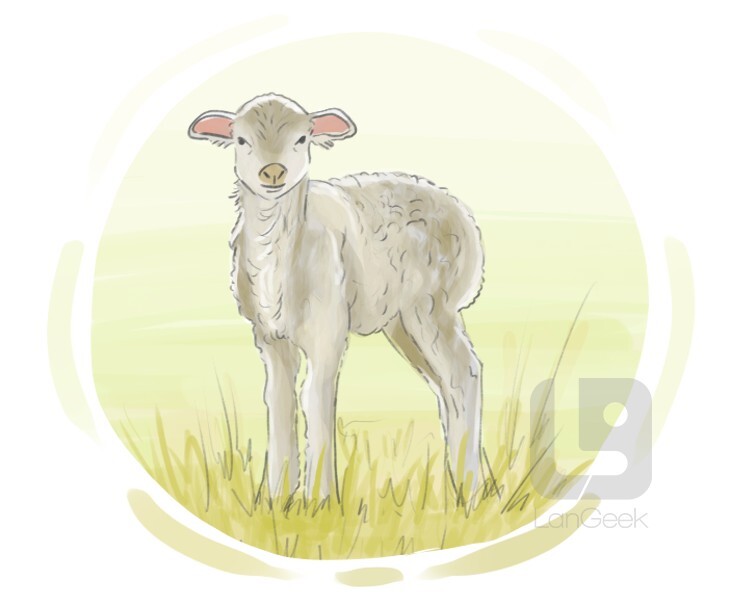 lambkin definition and meaning