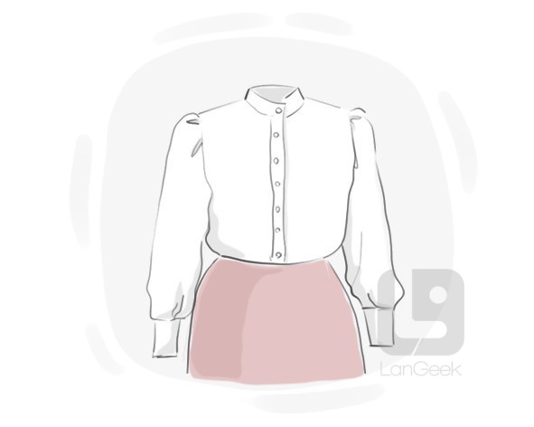 blouse definition and meaning