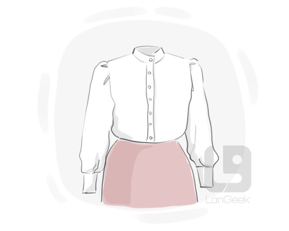 definition-meaning-of-blouse-langeek