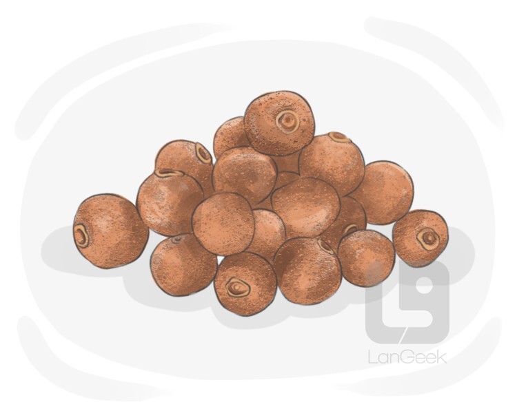 Definition & Meaning of "Allspice" LanGeek