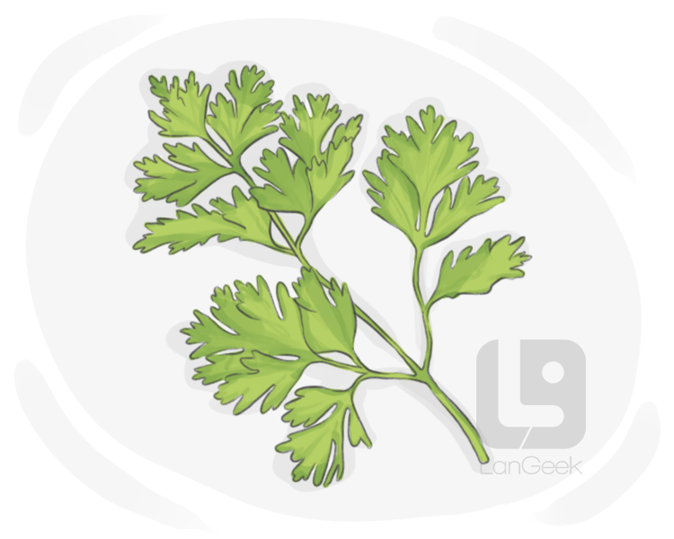 parsley definition and meaning