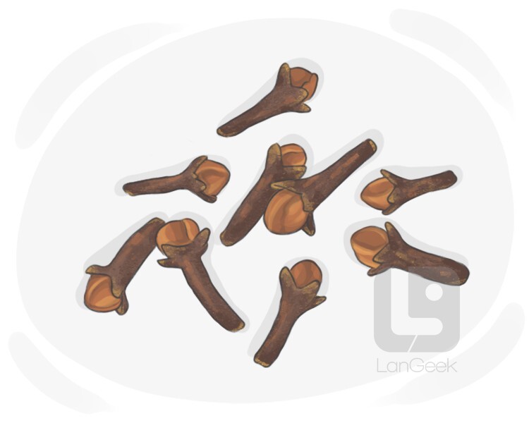 Definition & Meaning of "Clove" LanGeek