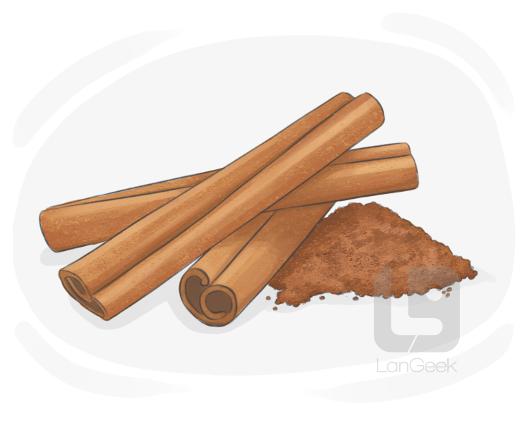 cinnamon bark definition and meaning