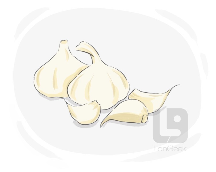 Definition & Meaning of "Garlic clove" LanGeek
