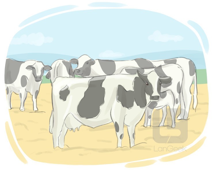 cattle definition and meaning