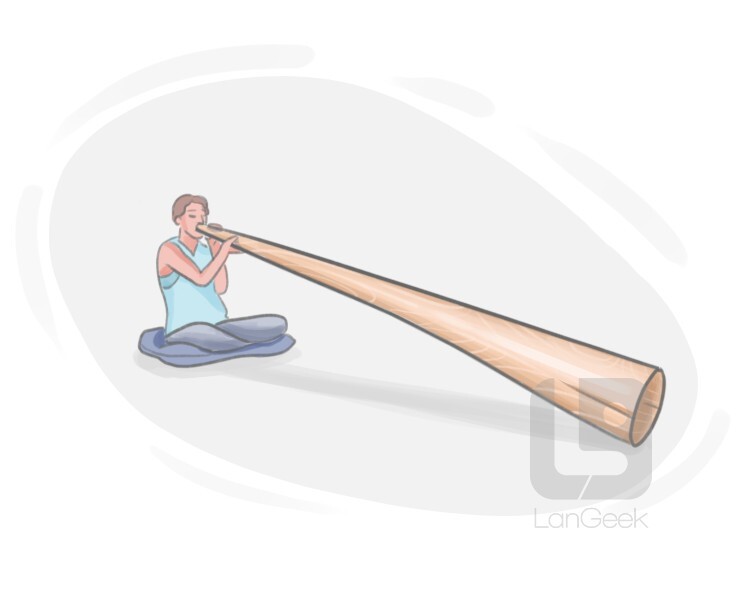 didgeridoo definition and meaning