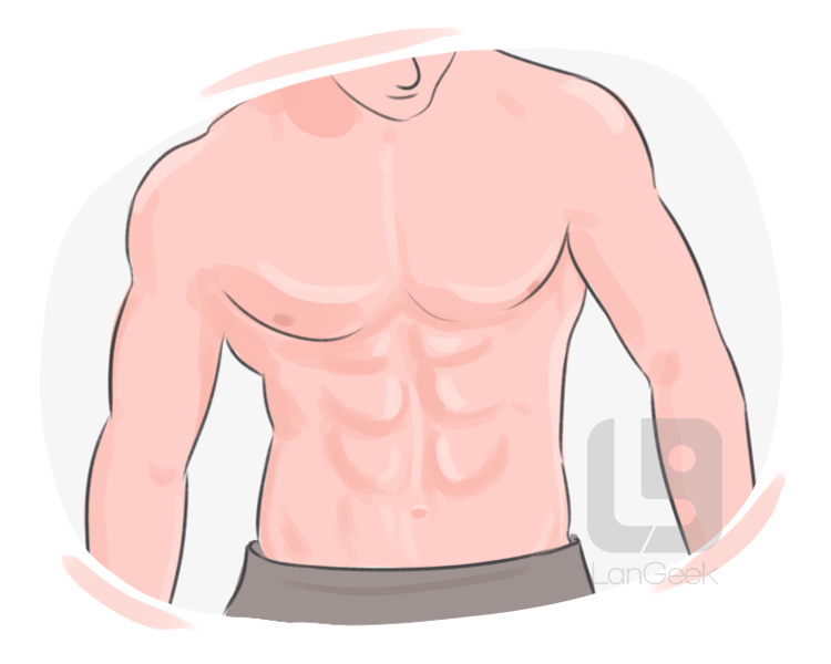 six-pack definition and meaning