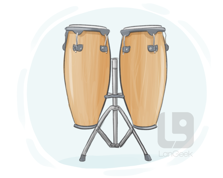 conga drum definition and meaning