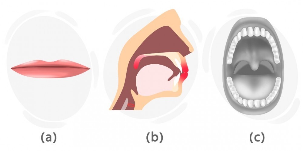 How to Pronounce the /m/ Sound | LanGeek