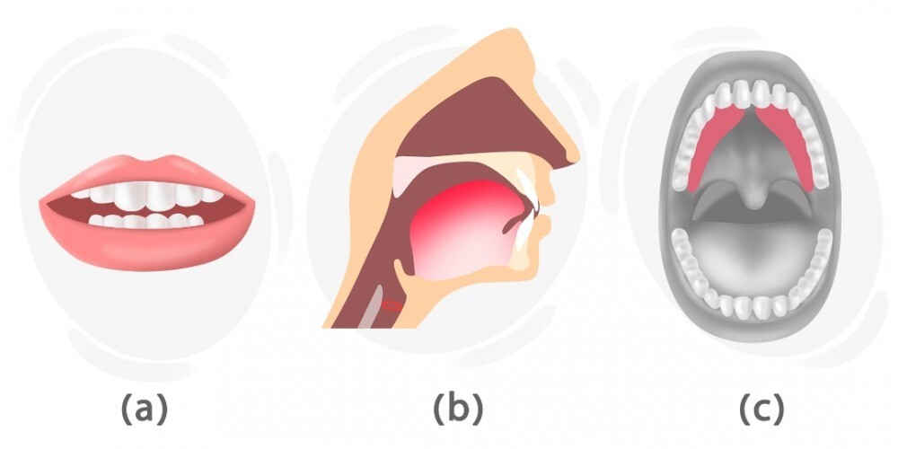 How To Pronounce The z Sound LanGeek