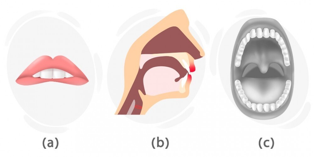 how-to-pronounce-the-v-sound-langeek