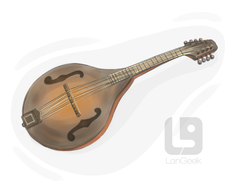 mandolin definition and meaning