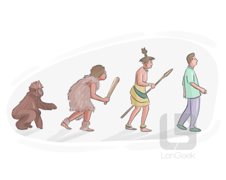 die Evolution definition and meaning