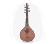cittern