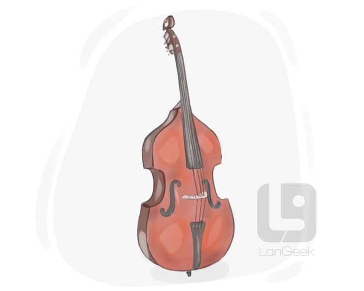 Traducción de la palabra "Double bass" LanGeek