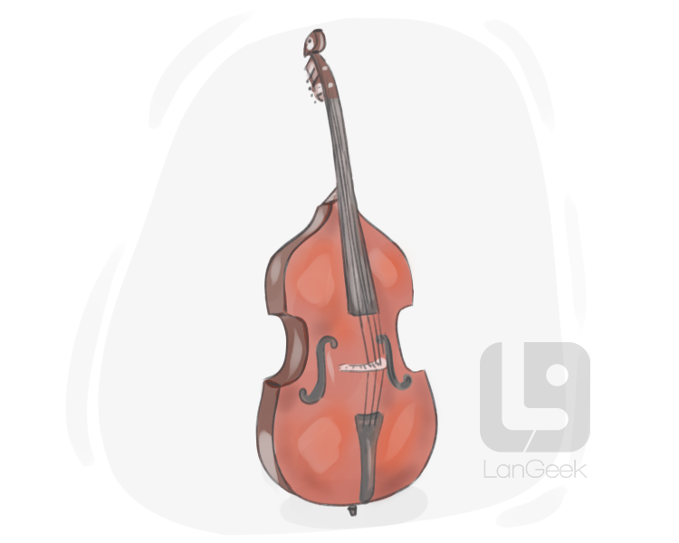 double bass definition and meaning