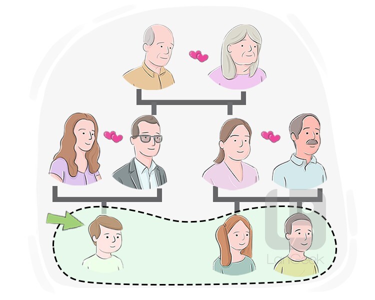 full cousin definition and meaning